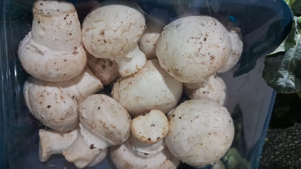 मशरूम खाने के फायदे